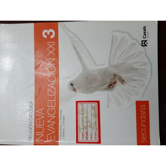 new collcetion image