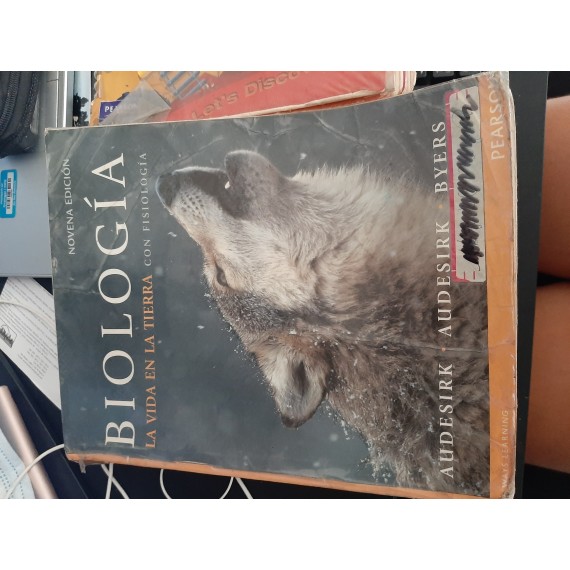 new collcetion image