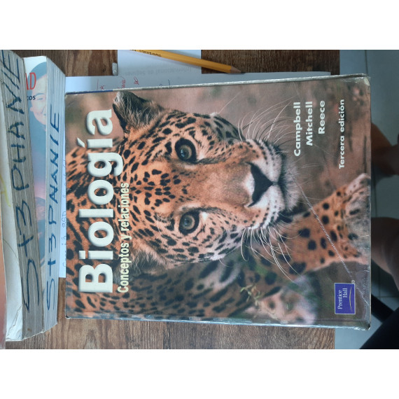 new collcetion image