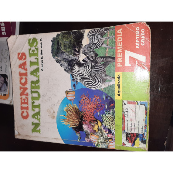 new collcetion image